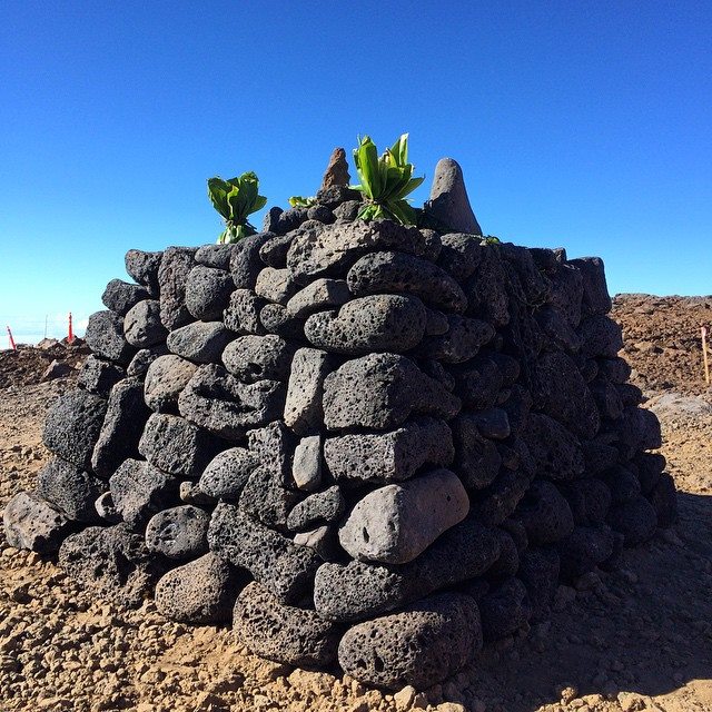 Protecting Mauna Kea: “We Are Satisfied With The Stones”