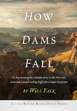 How Dams Fall: Interview with Derrick Jensen